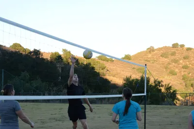 DSC_5339 (Large).JPG